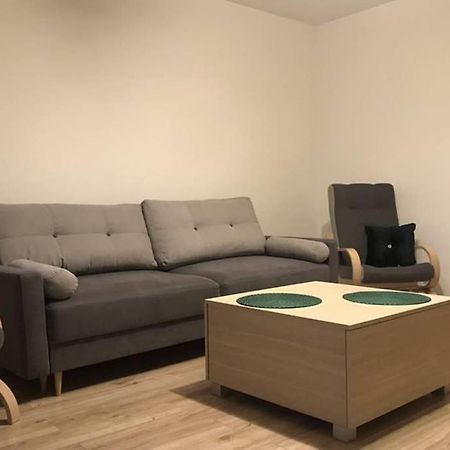 Kameralny Apartament Tuz Przy Krupowkach ザコパネ エクステリア 写真