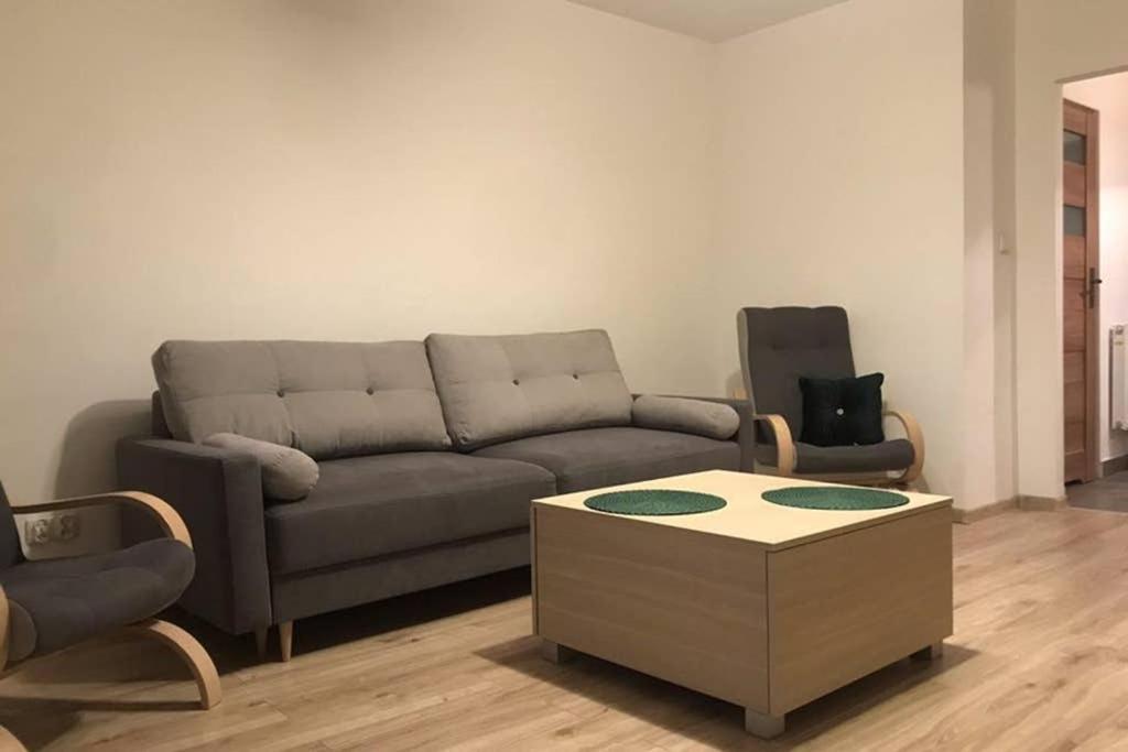 Kameralny Apartament Tuz Przy Krupowkach ザコパネ エクステリア 写真